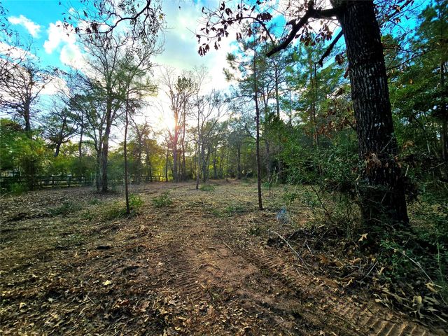 28046 Crossway Oaks, Magnolia, TX 77355