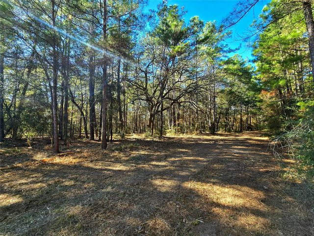 28046 Crossway Oaks, Magnolia, TX 77355