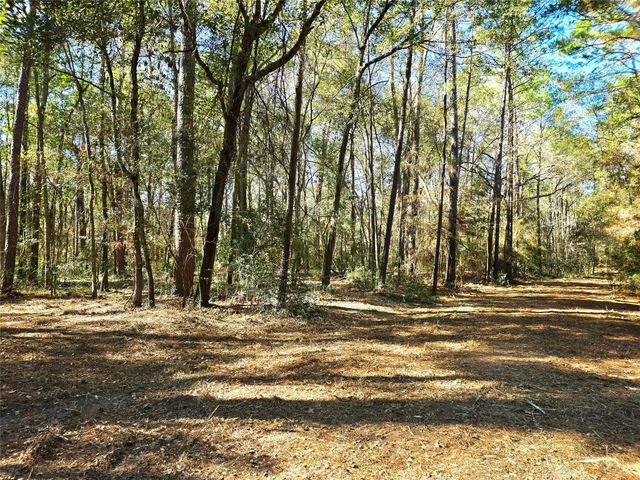 28046 Crossway Oaks, Magnolia, TX 77355