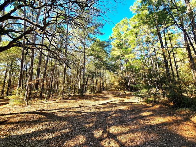 28046 Crossway Oaks, Magnolia, TX 77355