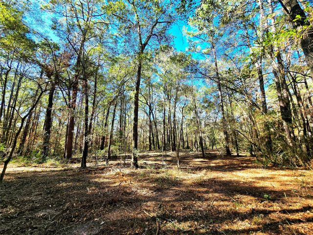 28046 Crossway Oaks, Magnolia, TX 77355