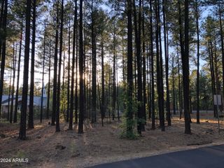 2504 TIMBER RIDGE Lane 1, Pinetop, AZ 85935