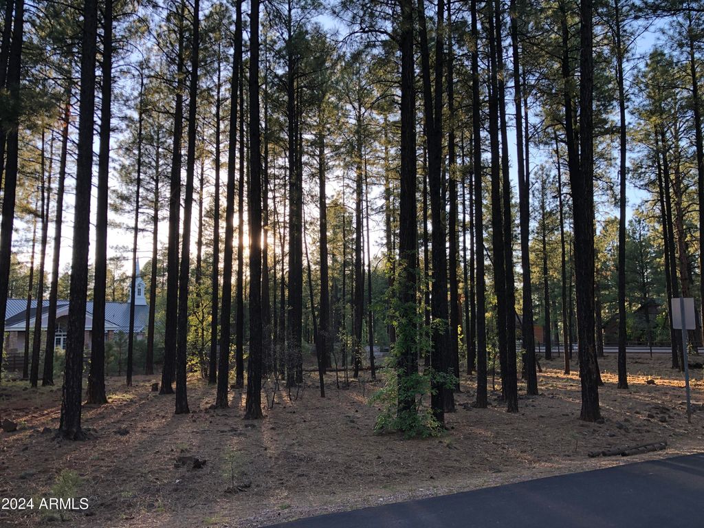 2504 TIMBER RIDGE Lane 1, Pinetop, AZ 85935