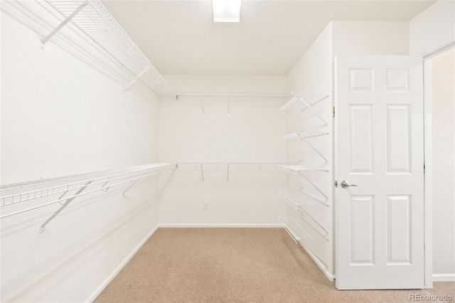 4028 Eagle Tail Lane, Castle Rock, CO 80104