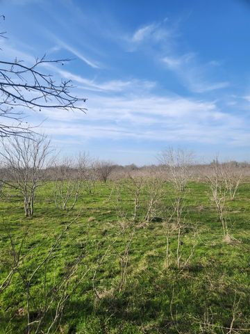 323 CR 446, Gonzales, TX 78629