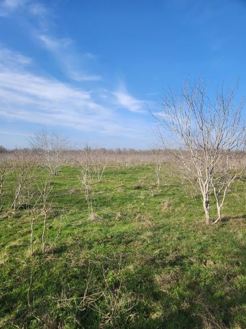 323 CR 446, Gonzales, TX 78629