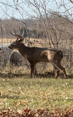 4033 W 367th Street, Louisburg, KS 66053