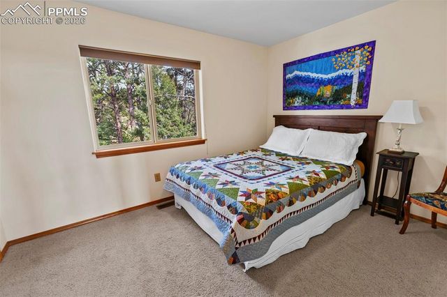 595 Bird Point Road, Florissant, CO 80816