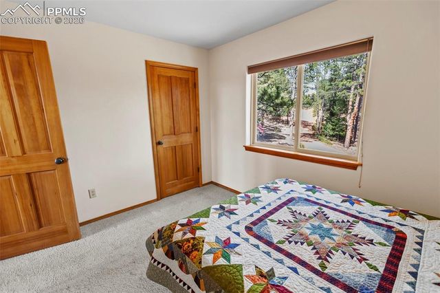 595 Bird Point Road, Florissant, CO 80816