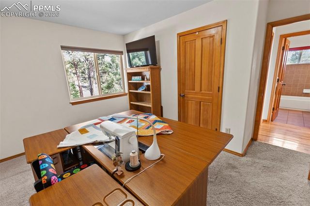 595 Bird Point Road, Florissant, CO 80816