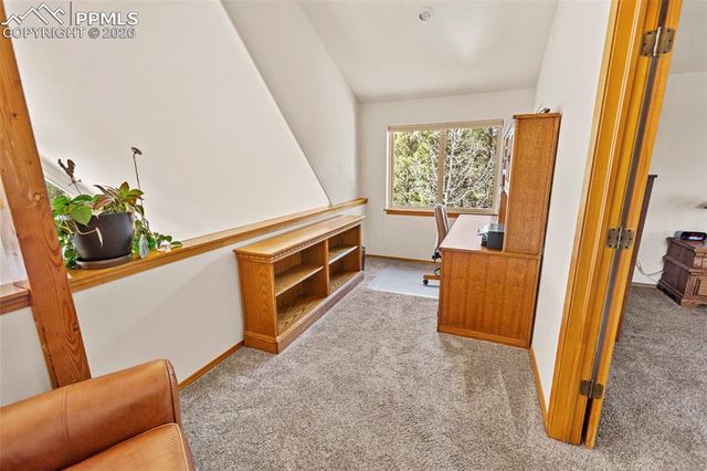 595 Bird Point Road, Florissant, CO 80816