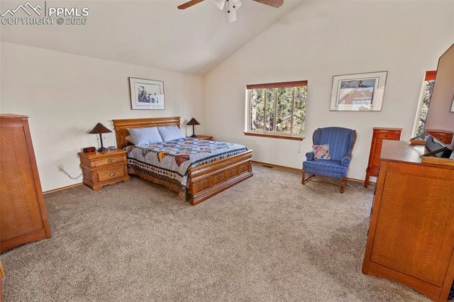 595 Bird Point Road, Florissant, CO 80816