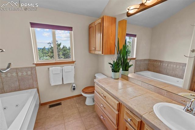 595 Bird Point Road, Florissant, CO 80816