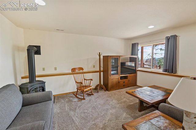 595 Bird Point Road, Florissant, CO 80816