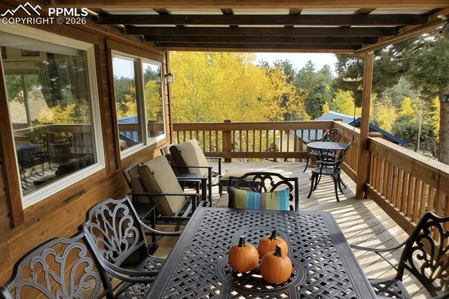 595 Bird Point Road, Florissant, CO 80816