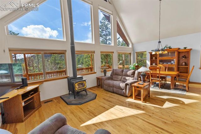 595 Bird Point Road, Florissant, CO 80816