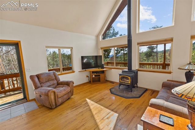 595 Bird Point Road, Florissant, CO 80816
