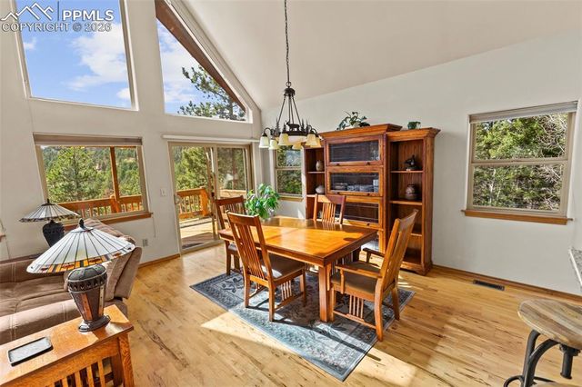 595 Bird Point Road, Florissant, CO 80816
