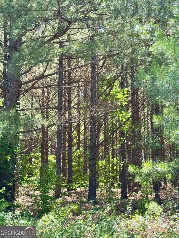 0 Sheppard Road, Tennille, GA 31089