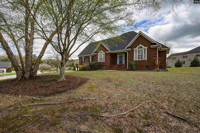 229 Bent Oak Drive, Chapin, SC 29036