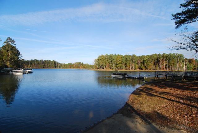 229 Bent Oak Drive, Chapin, SC 29036