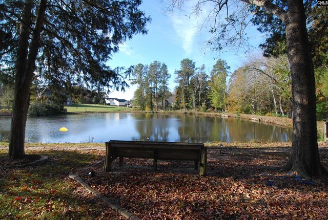 229 Bent Oak Drive, Chapin, SC 29036