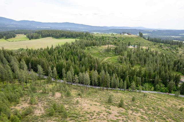 XXX N Schwatchtgen Rd, Chattaroy, WA 99003