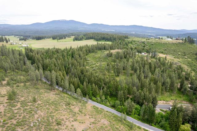 XXX N Schwatchtgen Rd, Chattaroy, WA 99003