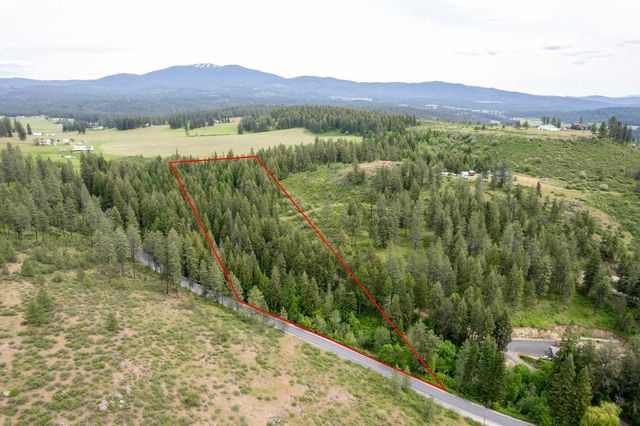 XXX N Schwatchtgen Rd, Chattaroy, WA 99003