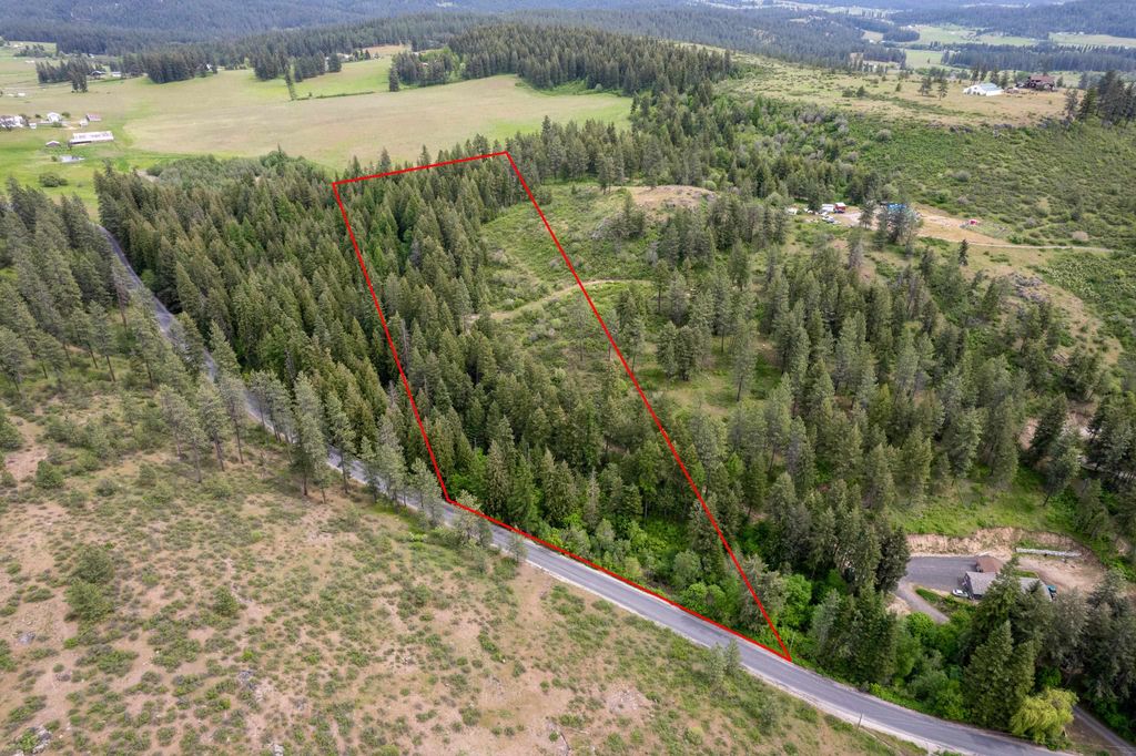 XXX N Schwatchtgen Rd, Chattaroy, WA 99003 photo 16