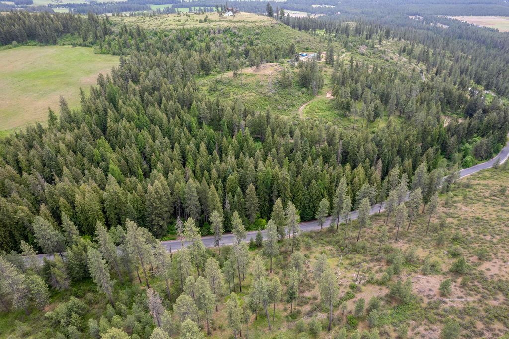 XXX N Schwatchtgen Rd, Chattaroy, WA 99003 photo 22