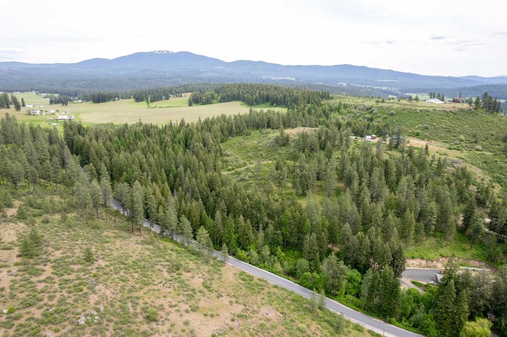 XXX N Schwatchtgen Rd, Chattaroy, WA 99003 photo 4