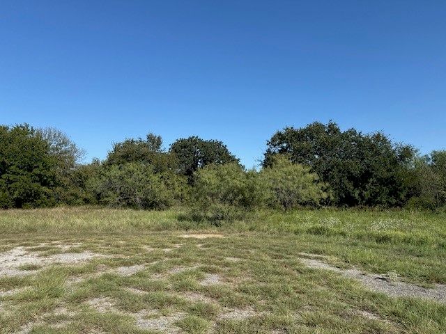 31033 Doe Run Court, Whitney, TX 76692