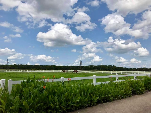 31033 Doe Run Court, Whitney, TX 76692