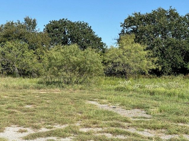 31033 Doe Run Court, Whitney, TX 76692