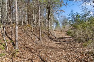 0 Pierce Hill Road, Dayton, TN 37321
