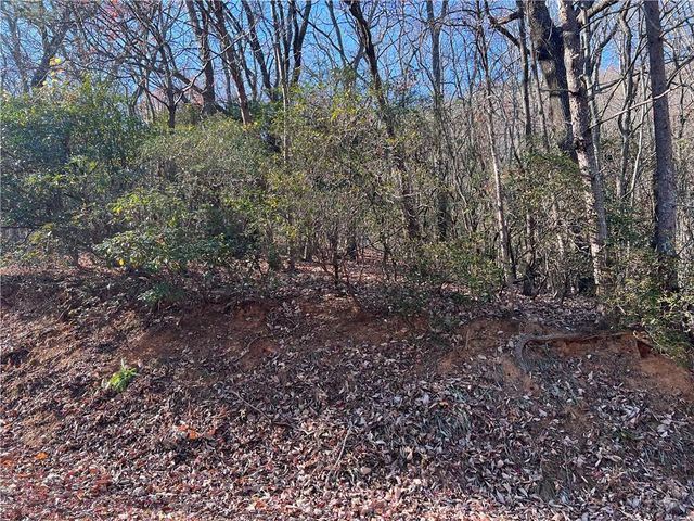 4412 Bee Tree Ridge Drive, Jasper, GA 30143