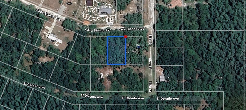 CASA BIANCA AVE, New Port Richey, FL 34654