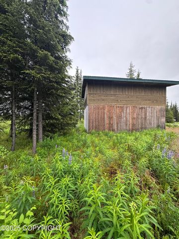 22440 Sonny Street, Ninilchik, AK 99639
