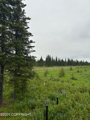 22440 Sonny Street, Ninilchik, AK 99639