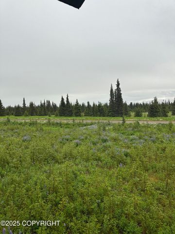 22440 Sonny Street, Ninilchik, AK 99639