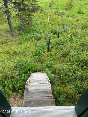 22440 Sonny Street, Ninilchik, AK 99639