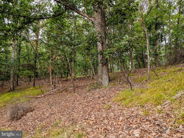 843 CEDAR RUN LN, Great Cacapon, WV 25422