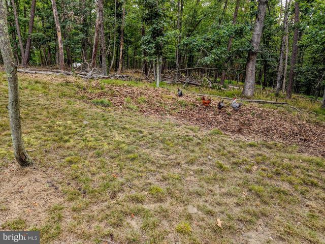 843 CEDAR RUN LN, Great Cacapon, WV 25422