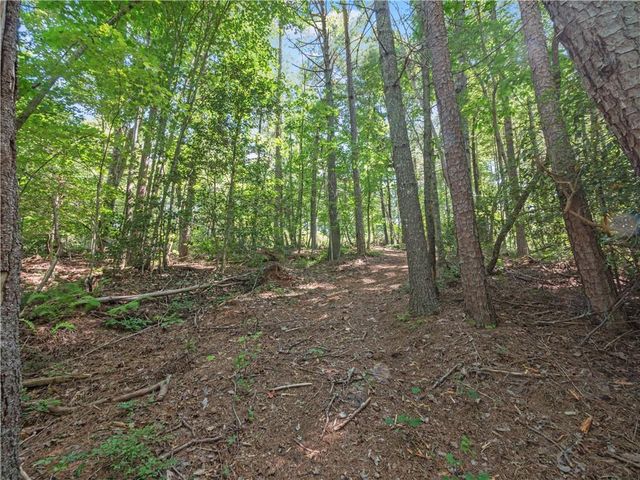 5082 Highway 197 N, Clarkesville, GA 30523