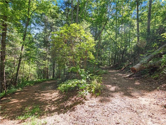 5082 Highway 197 N, Clarkesville, GA 30523