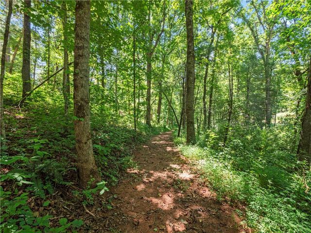 5082 Highway 197 N, Clarkesville, GA 30523