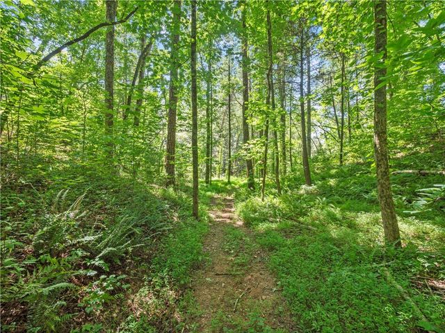 5082 Highway 197 N, Clarkesville, GA 30523