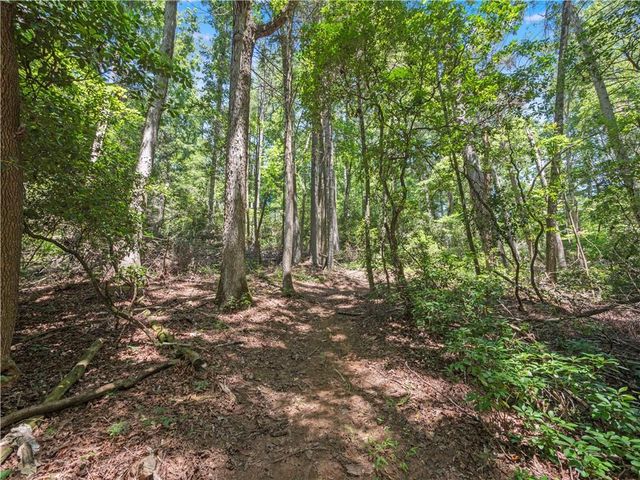 5082 Highway 197 N, Clarkesville, GA 30523