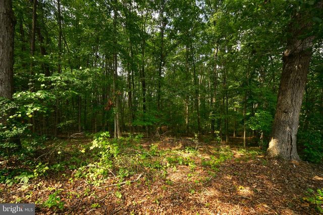 130 JOHNSON HOLLOW RD, Louisa, VA 23093